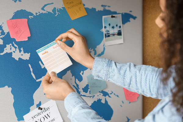 Cork board World map