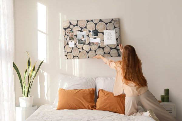 Cork display board Cut tree stumps