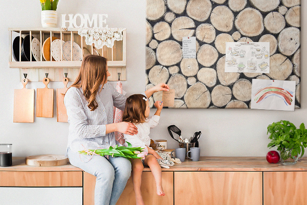 Cork display board Cut tree stumps