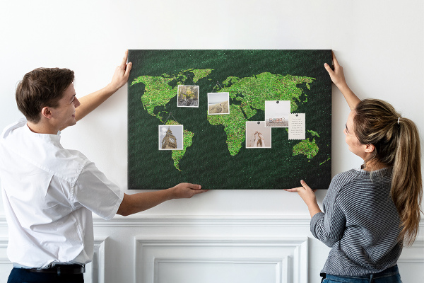 Cork memo board Grassy world map