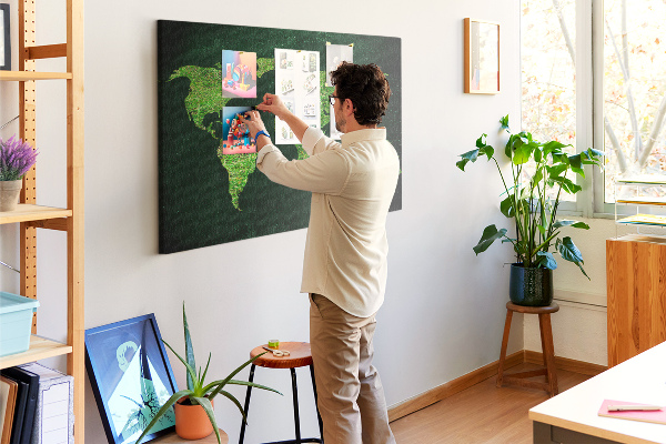 Cork memo board Grassy world map