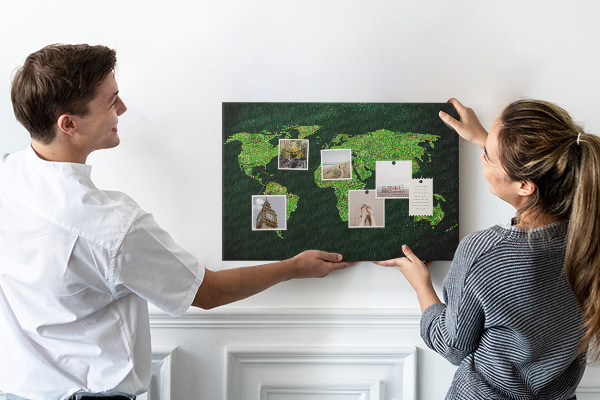 Cork memo board Grassy world map