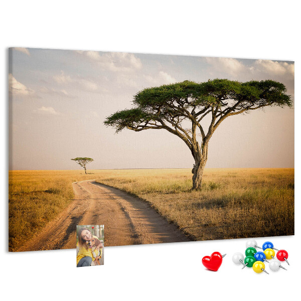 Cork board African landscape