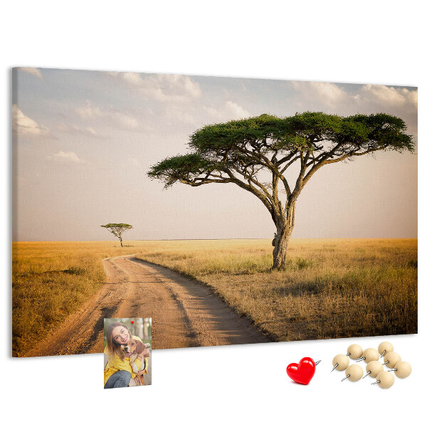 Cork board African landscape