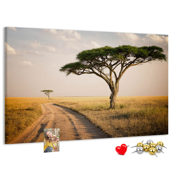 Cork board African landscape