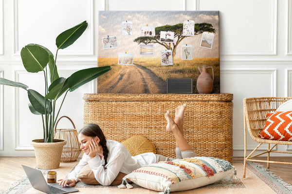 Cork board African landscape