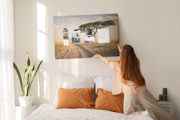 Cork board African landscape