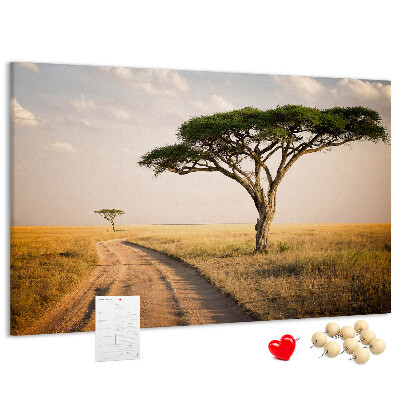 Cork board African landscape