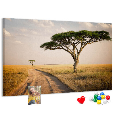 Cork board African landscape