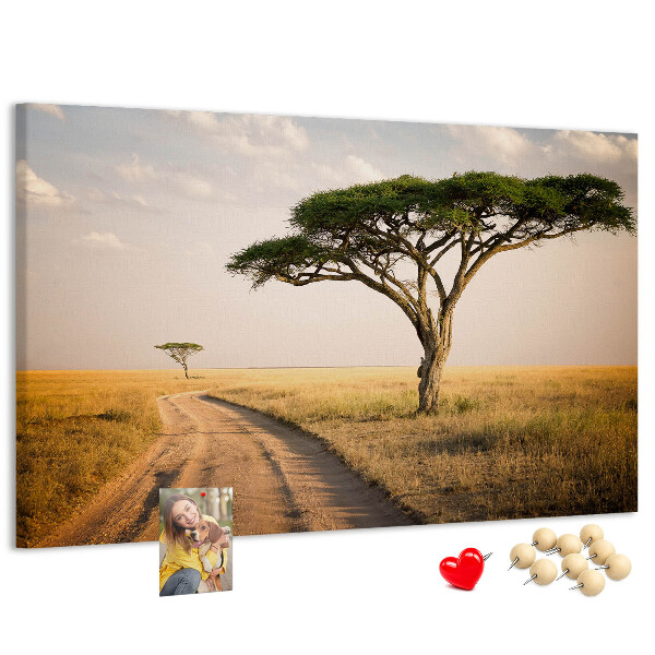 Cork board African landscape