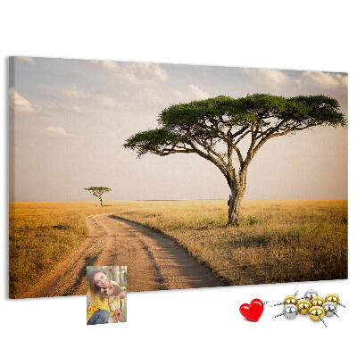 Cork board African landscape