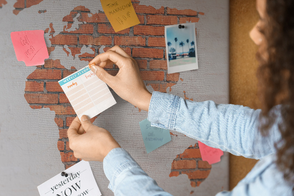 Cork display board Brick world map