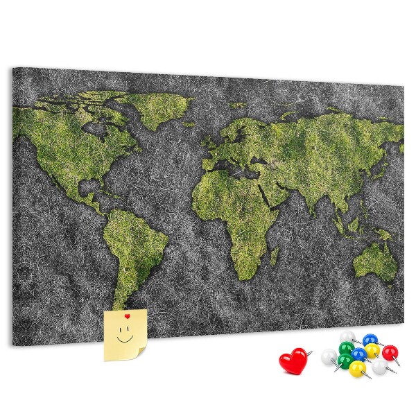 Cork display board World map