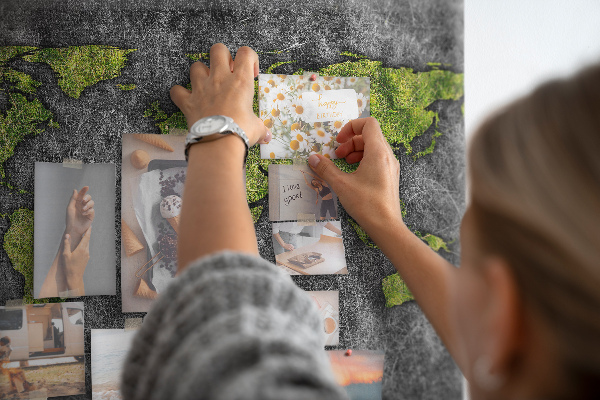 Cork display board World map
