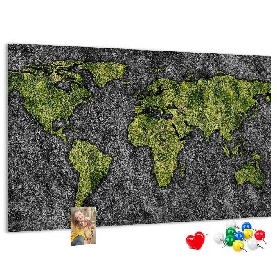 Cork display board World map