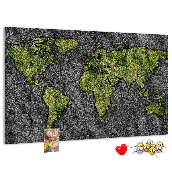 Cork display board World map