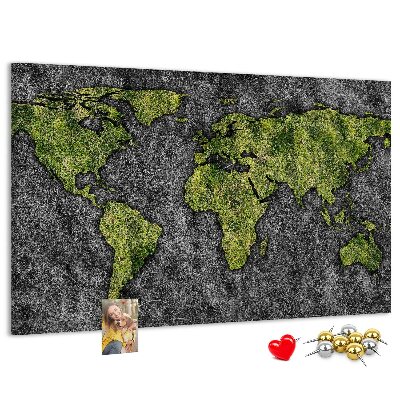 Cork display board World map