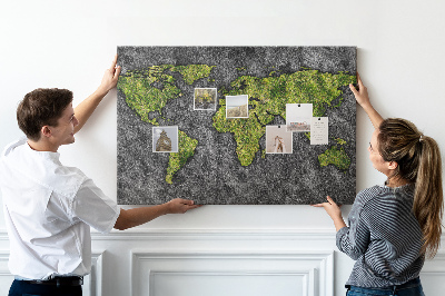 Cork display board World map