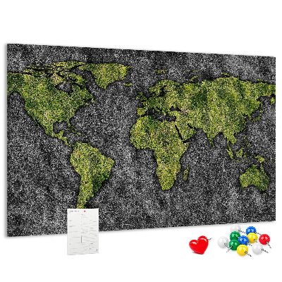 Cork display board World map