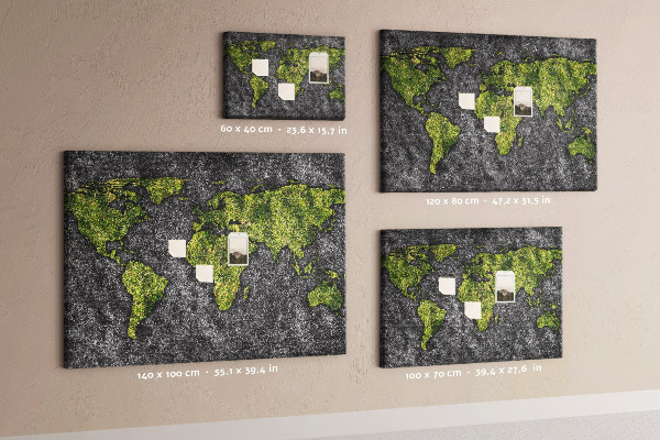 Cork display board World map