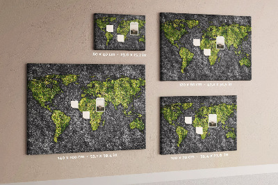 Cork display board World map