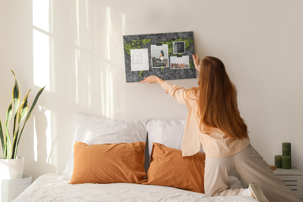 Cork display board World map