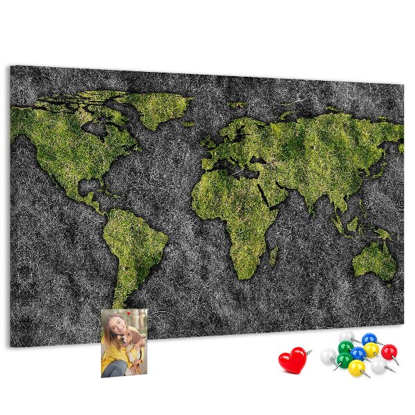 Cork display board World map