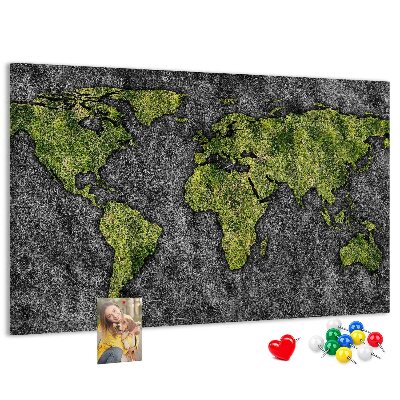 Cork display board World map