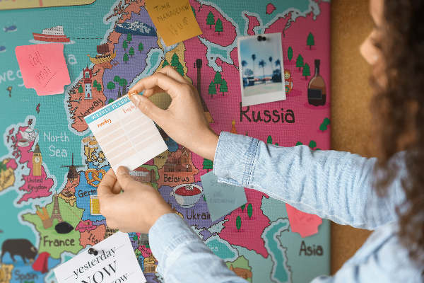 Cork display board Map of Europe