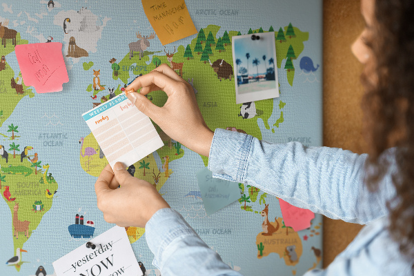 Cork board World map with animals