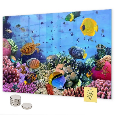 Magnetic board with underwater life theme