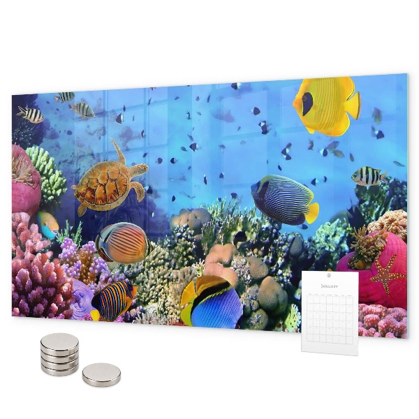 Magnetic board with underwater life theme