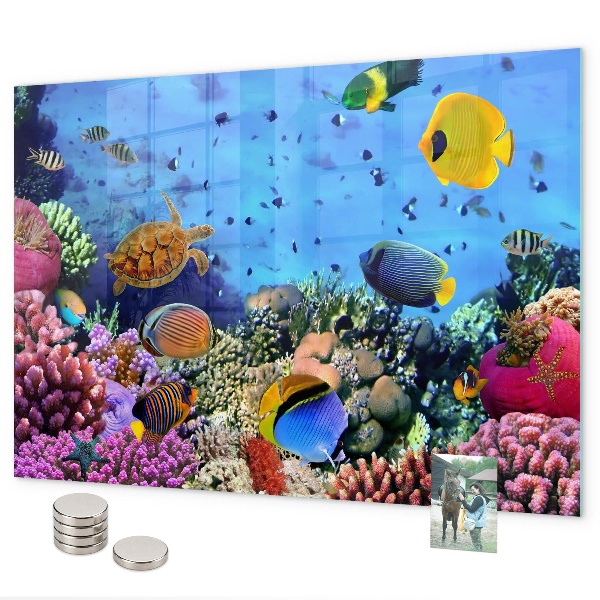 Magnetic board with underwater life theme