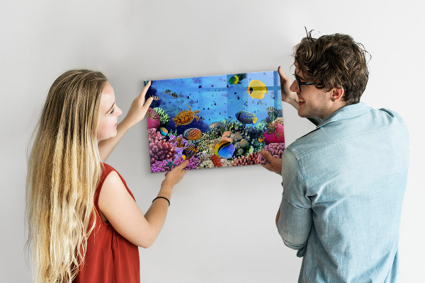 Magnetic board with underwater life theme