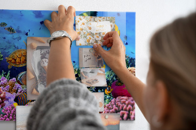 Magnetic board with underwater life theme