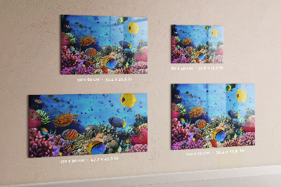 Magnetic board with underwater life theme