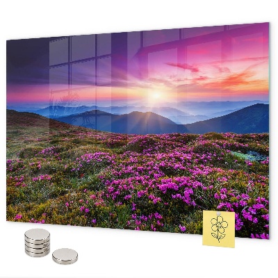 Magnetic board sunrise flowers design
