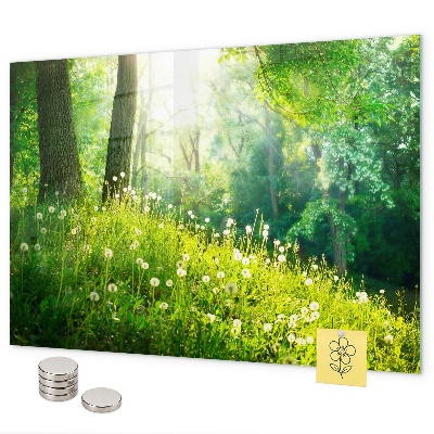 Magnetic board for wall with spring nature design