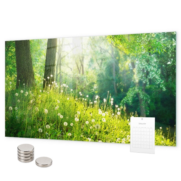 Magnetic board for wall with spring nature design