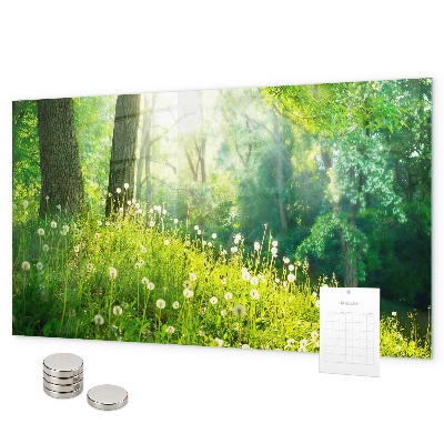 Magnetic board for wall with spring nature design