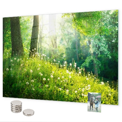 Magnetic board for wall with spring nature design