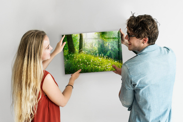 Magnetic board for wall with spring nature design