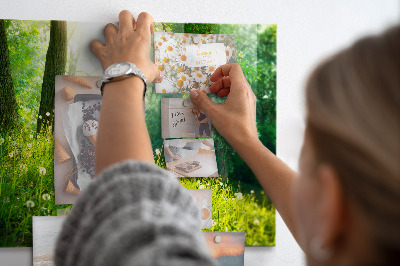 Magnetic board for wall with spring nature design