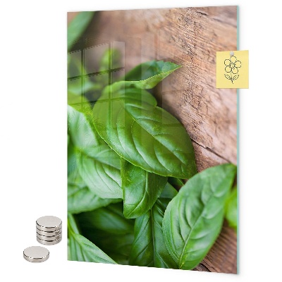 Notice board Basil
