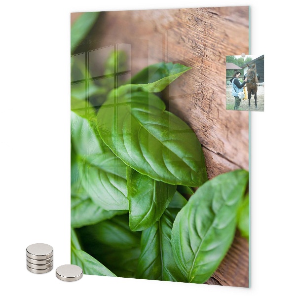 Notice board Basil