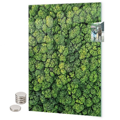 Notice board Basil
