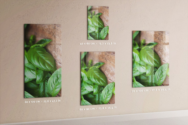 Notice board Basil