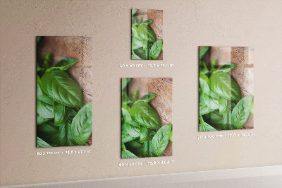 Notice board Basil