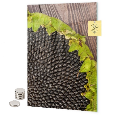 Memo board Sunflower seeds