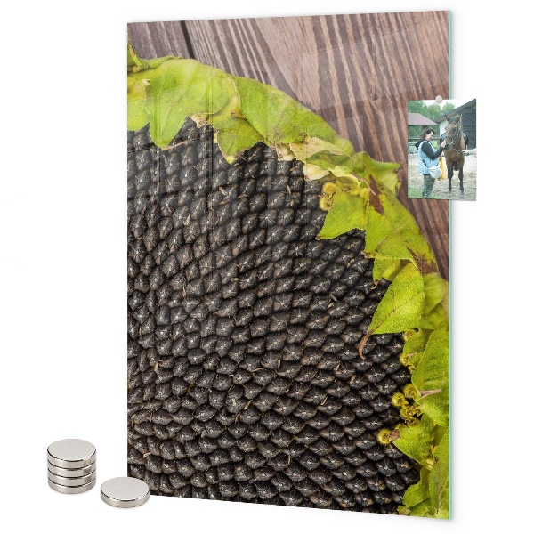 Memo board Sunflower seeds